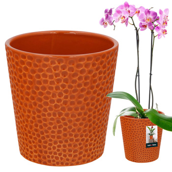 Keramický květináč oranžová rostliny orchideje 12 cm