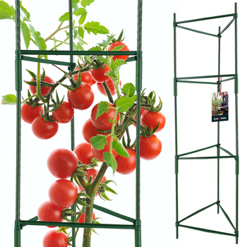 rajče lezení rostlina podpora skládací