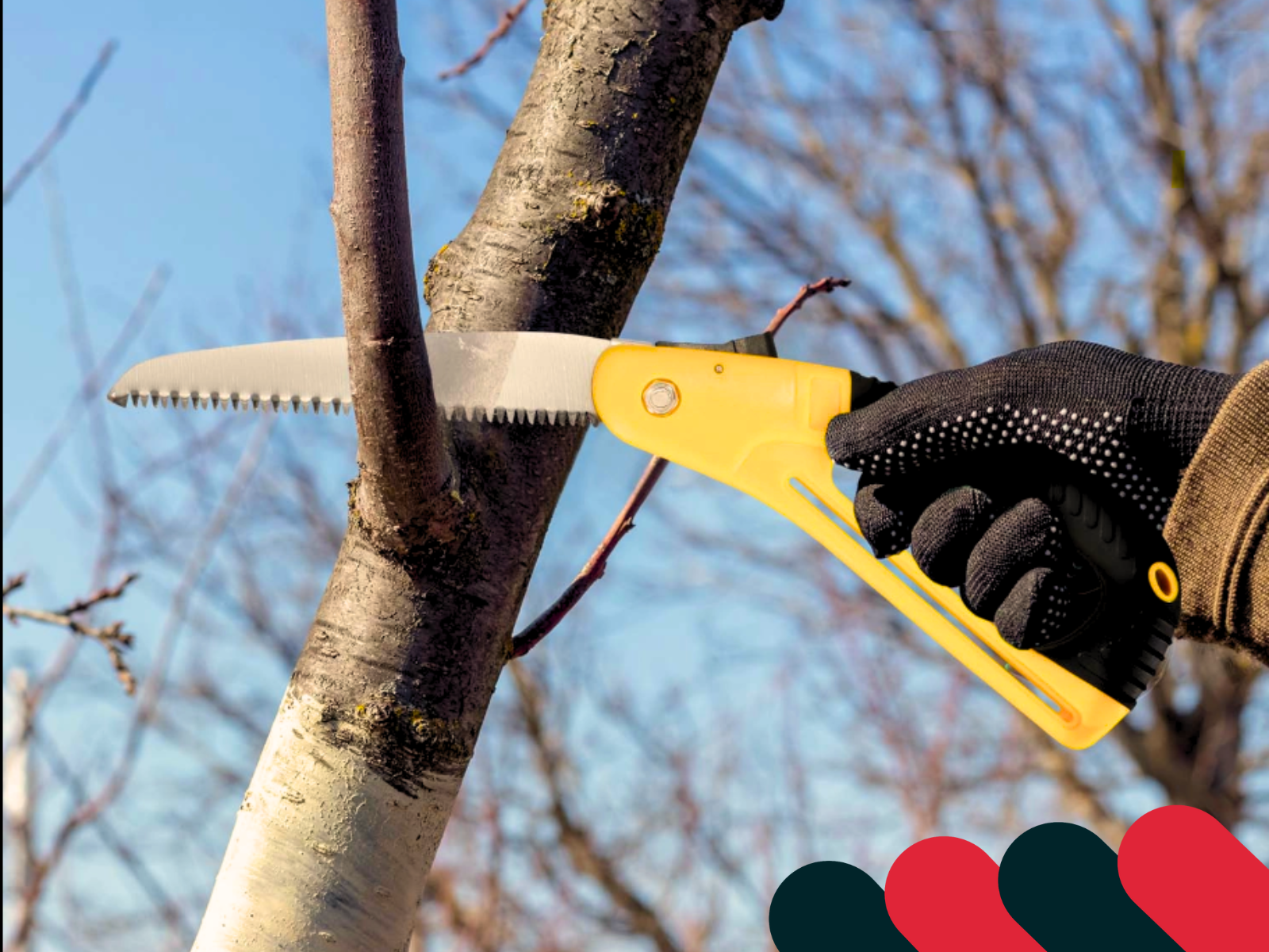 Broušení sekery krok za krokem | Kotarbau