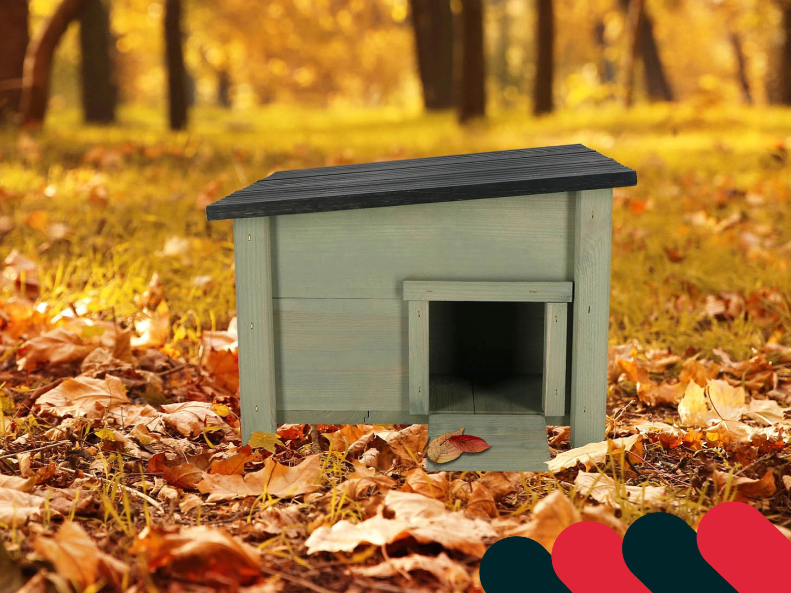 Ptačí budka na podzimní zahradě | Kotarbau