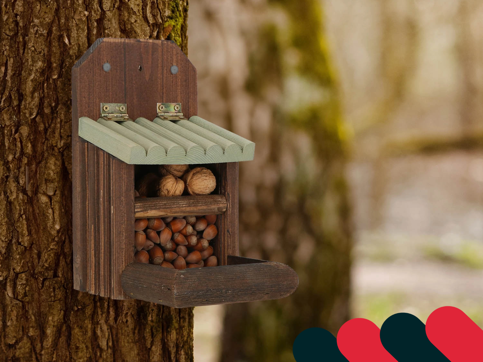 Úkryt pro ježky z listí a dřeva na zahradě | Kotarbau