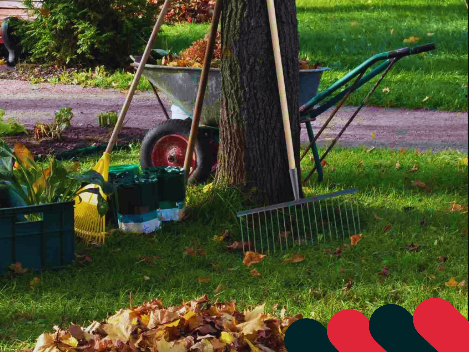 Fóliové a papírové pytle na listí na zahradě | Kotarbau