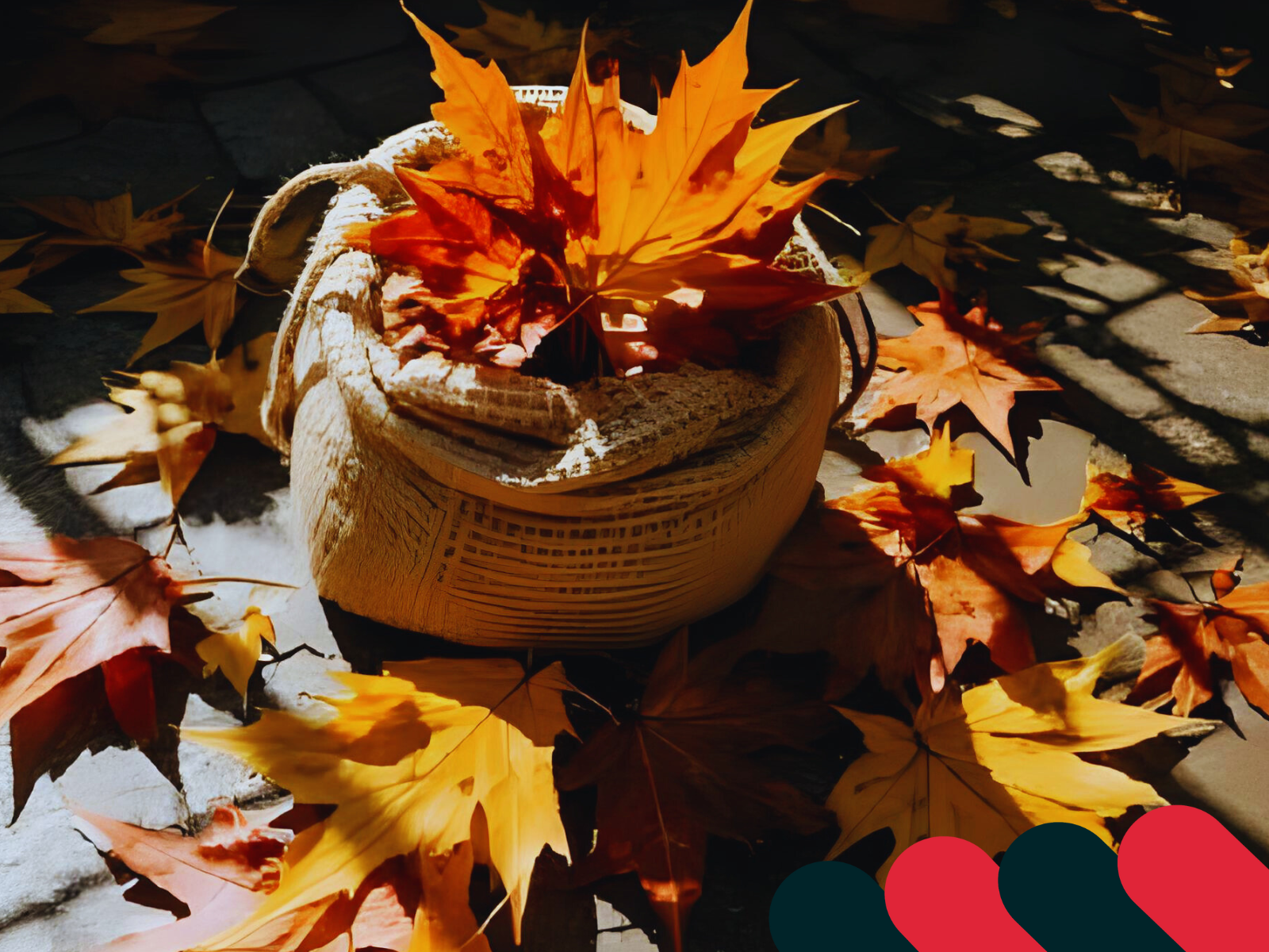 Pevné a prostorné textilní pytle na podzimní úklid | Kotarbau