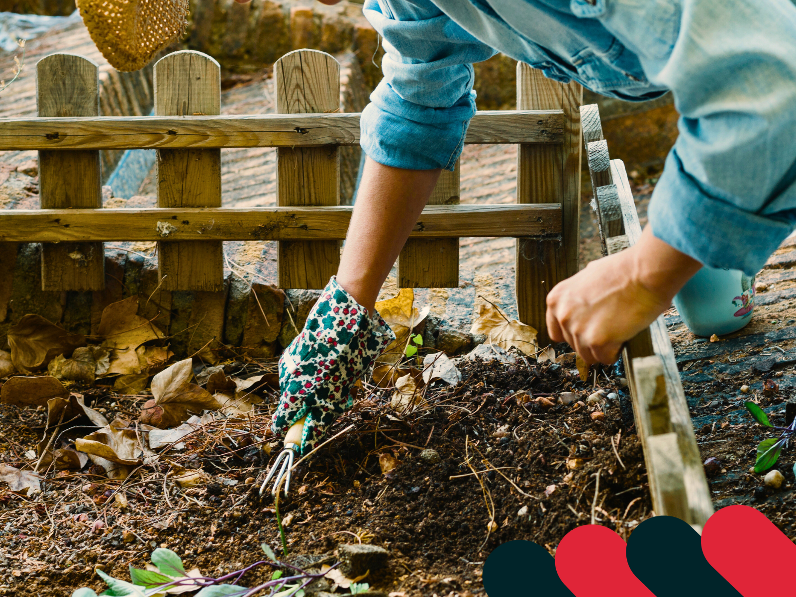 Podzimní zahrada během úklidových prací | Kotarbau