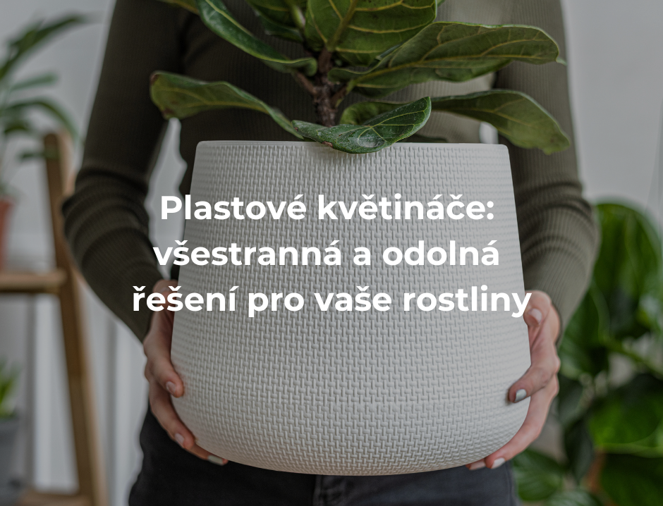 plastové květináče: Všestranná a odolná řešení pro vaše rostliny