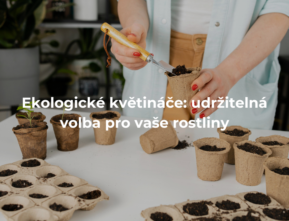 ekologické květináče: udržitelná volba pro vaše rostliny