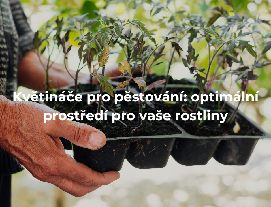 Květináče pro pěstování: optimální prostředí pro vaše rostliny