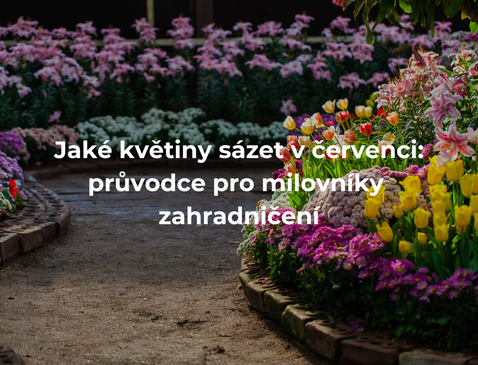 Jaké květiny sázet v červenci: průvodce pro milovníky zahradničení