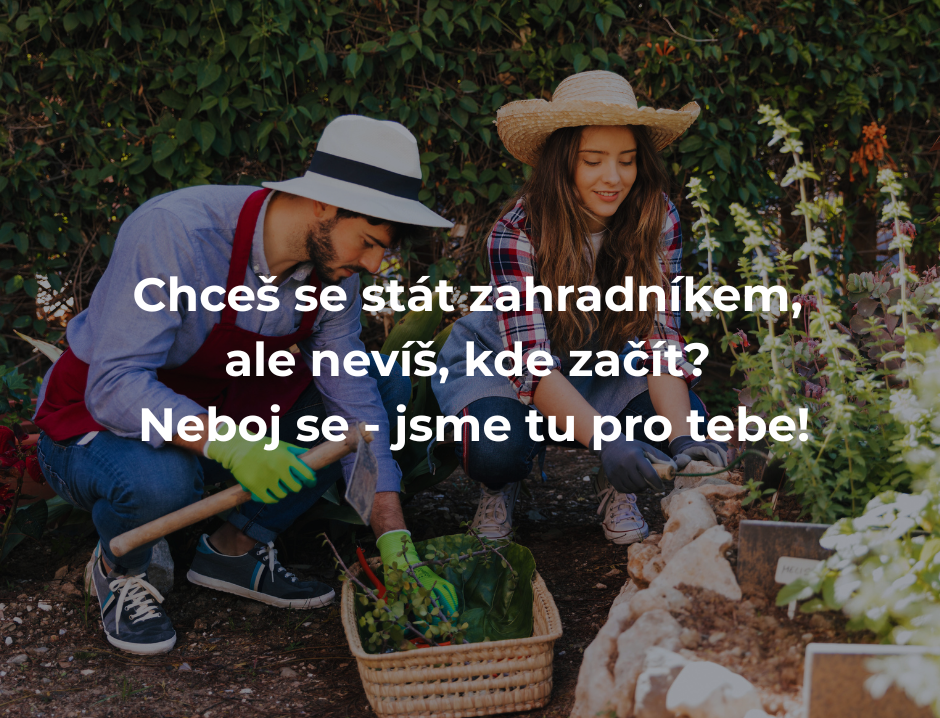 Chceš se stát zahradníkem, ale nevíš, kde začít? Neboj se – jsme tu pro tebe!
