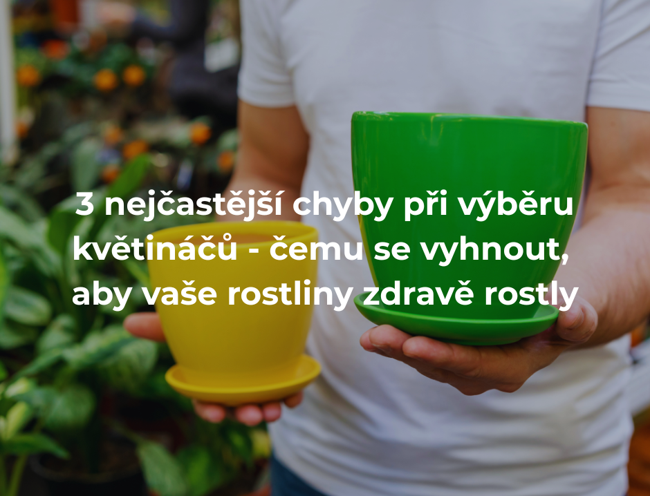 3 nejčastější chyby při výběru květináčů - čemu se vyhnout, aby vaše rostliny zdravě rostly