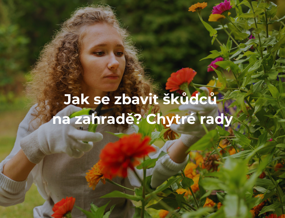 Jak se zbavit škůdců na zahradě? Chytré rady