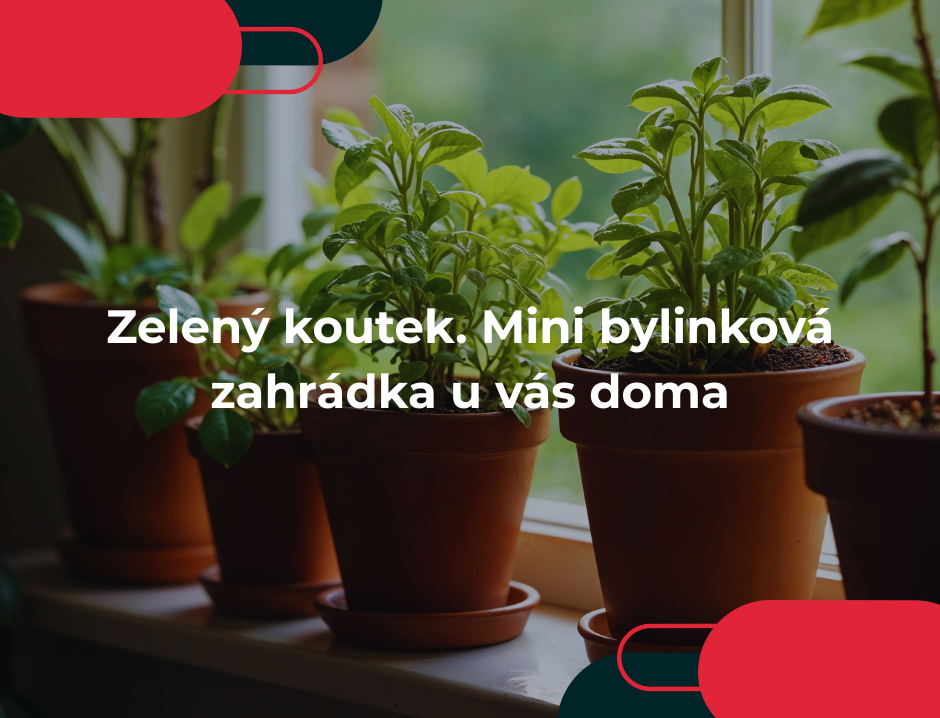 Zelený koutek. Mini bylinková zahrádka u vás doma