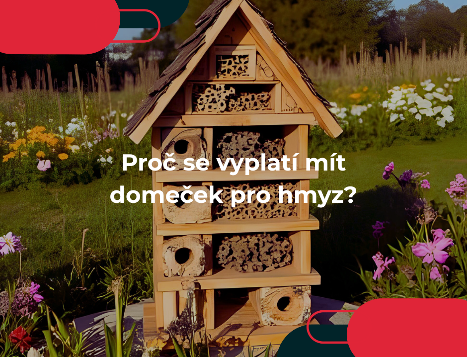 Proč se vyplatí mít domeček pro hmyz?