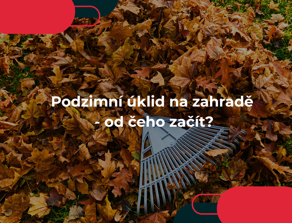 Podzimní úklid na zahradě - od čeho začít?