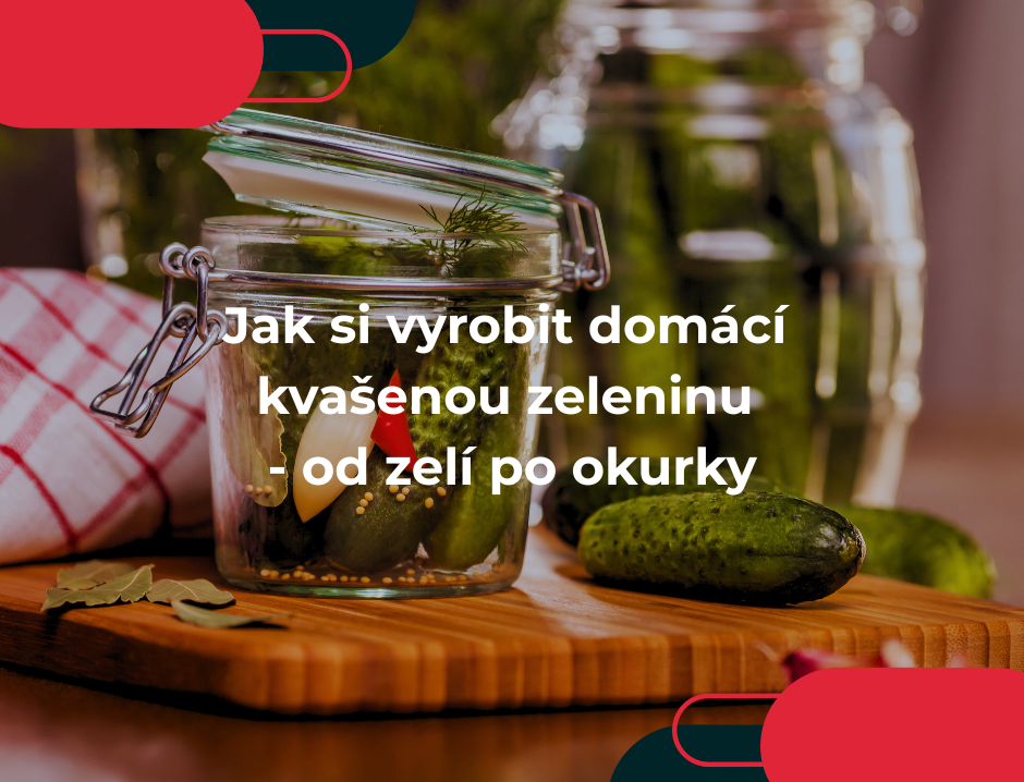 Jak si vyrobit domácí kvašenou zeleninu - od zelí po okurky