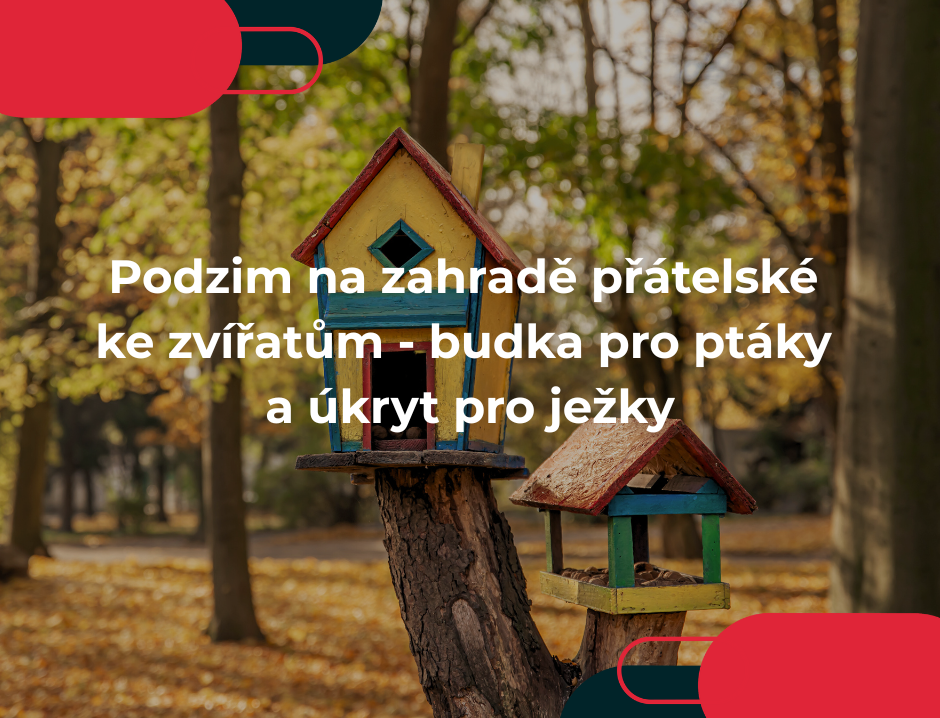 Podzim na zahradě přátelské ke zvířatům - budka pro ptáky a úkryt pro ježky