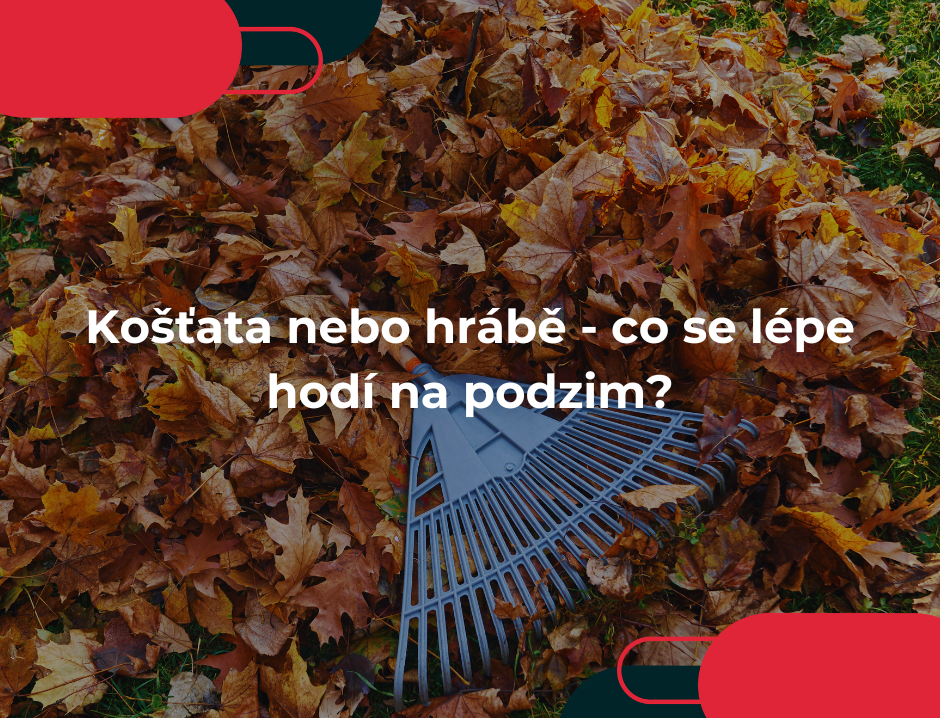 Košťata nebo hrábě - co se lépe hodí na podzim?