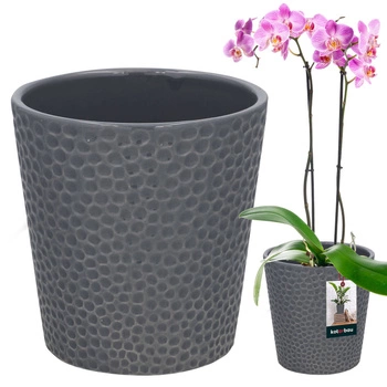 Keramický květináč popel rostliny orchideje 9,5 cm