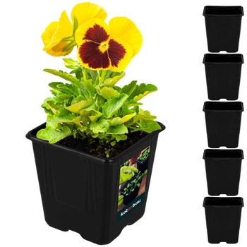 Květináče čtvercové 11 cm sada 5 ks.