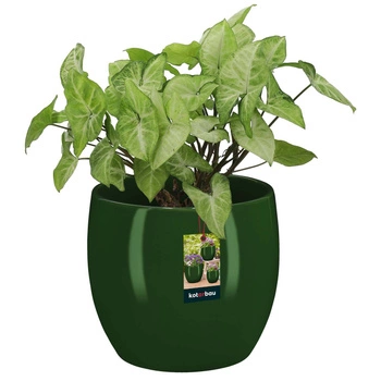 Glazovaný keramický květináč zelené rostliny 13 cm