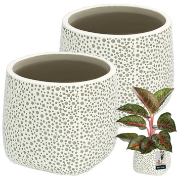 Obal břichatý ⌀ 12,5 cm 2 ks.