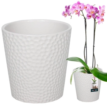 Keramický květináč bílé rostliny orchideje 12 cm