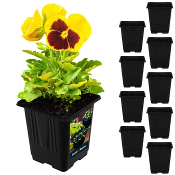 Květináče čtvercové 9 cm sada 9 ks.