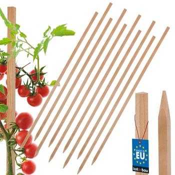 Dřevěné kůly na rajčata zeleninu zahradní podpěry 80 cm sada 10 ks.