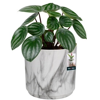 Keramický kulatý mramorový květináč 12 cm